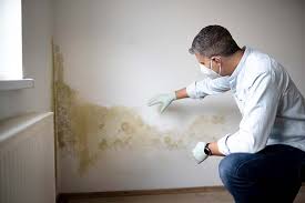 Biohazard Mold Removal in Clarion, IA